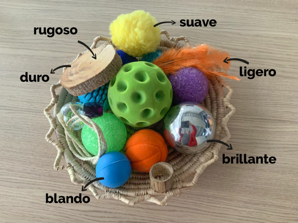 Descarga A la caza del tesoro sensorial Hop'Toys