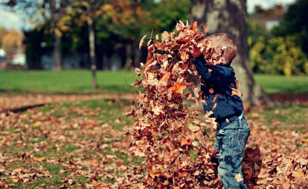 Pedagogía a través de la naturaleza