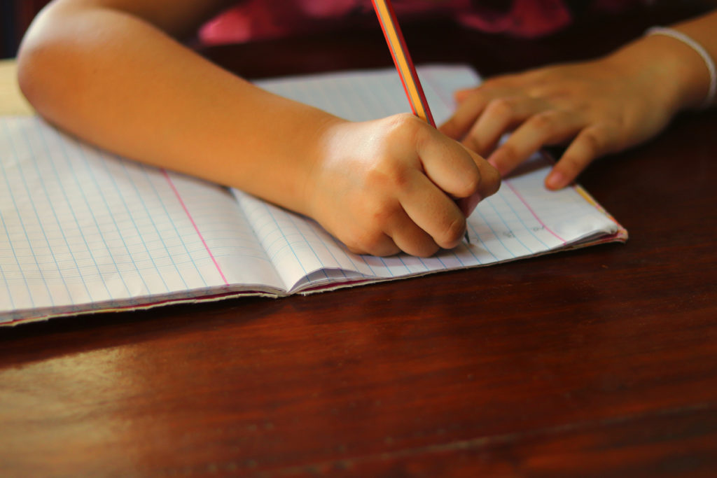 niño escribiendo en un cuaderno