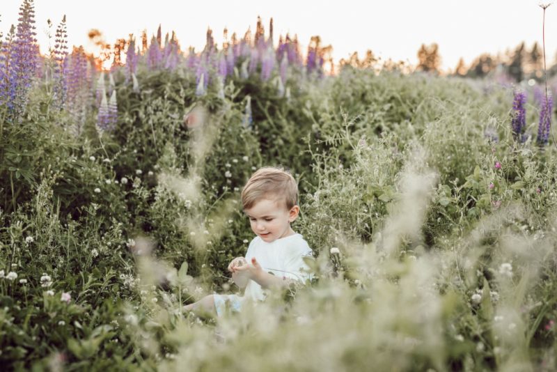 Un niño en un campo de flores al aire libre